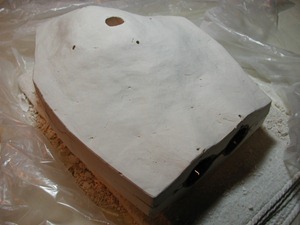 e_cyclbackplaster