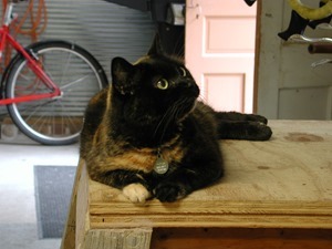 "Amazing, you actually did it"